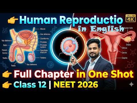 Human Reproduction Full Chapter in English | System & Function Explained | Class 12 NCERT | NEET