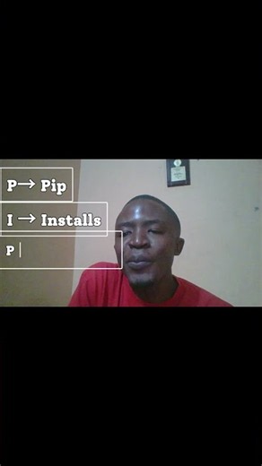 What Does Pip Stand For?