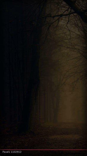 DARK Serial Killer: The Even Still Unsolved