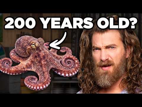 Who Lives Longer?