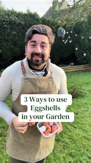 3 Easy Ways to Use Eggshells in Your Garden
