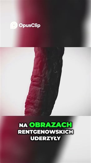 Filozofia, która wyprzedziła wieki Surowa ludzka psychologia #dokument #historia