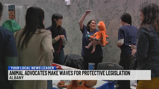 Animal advocates make waves for protective legislation for octopuses and more in NY