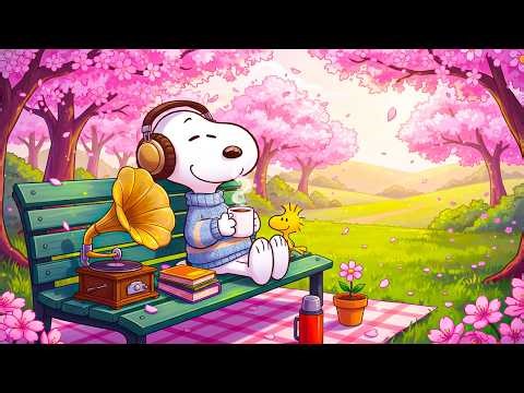 Snoopy’s Sunlit Spring Coffee Break 🌸☀️ Cozy Lofi Ambience in Blossom Garden for Relax & Study