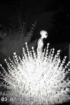 LEAKED: Alien Caught on My Backyard CCTV Camera! 👽😱 #scary #paranormal
