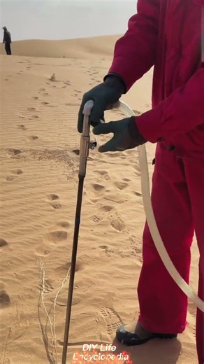 Desert Greening & Vegetation Planting Process