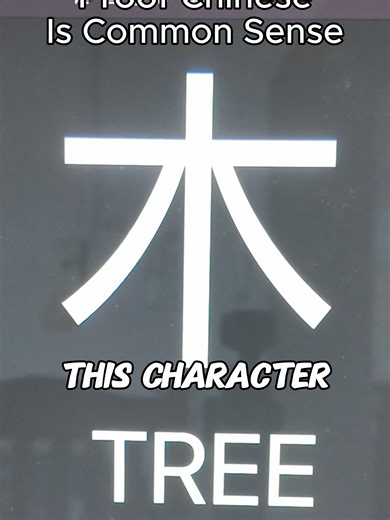 Just gotta open your eyes a bit more #comedy #chinese #language #fyp