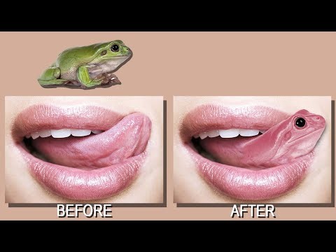 How to Merge Two Images in Photoshop | Easy Image Blending Tutorial for Beginners