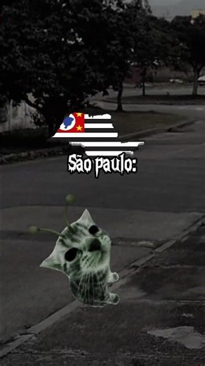 PARTE 8 | SE TIVESSE UMA INVASÃO ALIENÍGENA NO BRASIL!