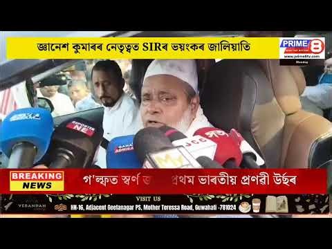 Prime 8 TV Live Stream