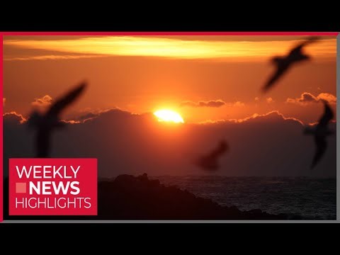 WEEKLY NEWS HIGHLIGHTS (2026.01.03)