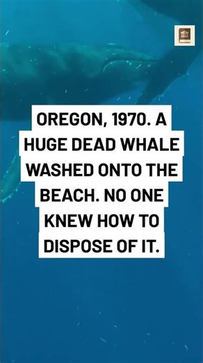 The Exploding Whale: Oregon’s Wildest Cleanup