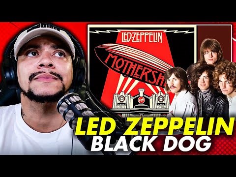 YOOOO....THEY...THEM!!!! !! Led Zeppelin - Black Dog (LIVE REACTION)
