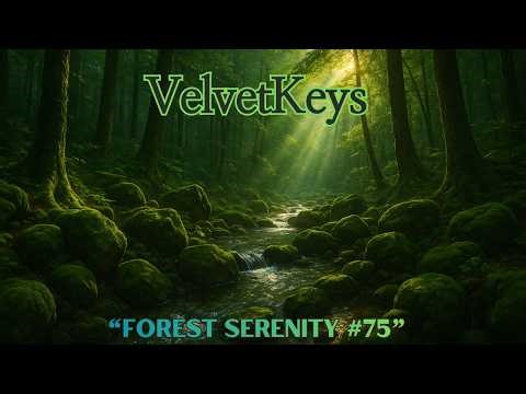 Deep Forest Ambience with Gentle Stream & Soft Wind 🌿 | Relaxing Nature Sounds for Sleep No.75