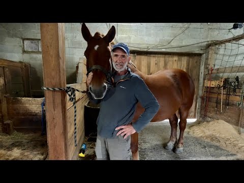 WHAT'S GOING ON WITH BARON???! #968