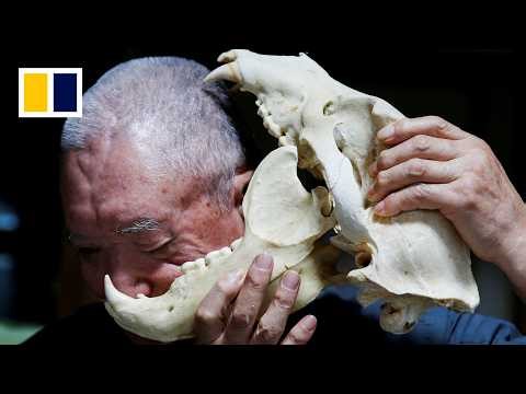 As bear attacks rise in Japan, diners bite back