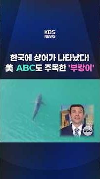 세계 스타 '부캉이'…외국인도 '북항' 찾는다 #shorts / KBS