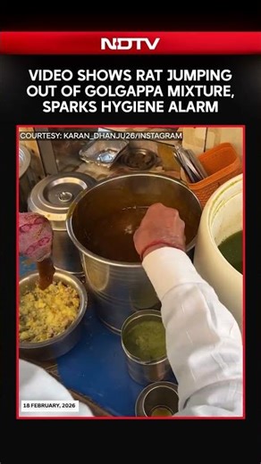 Viral Video Shows Rat Jumping Out Of Golgappa Mixture, Sparks Hygiene Alarm