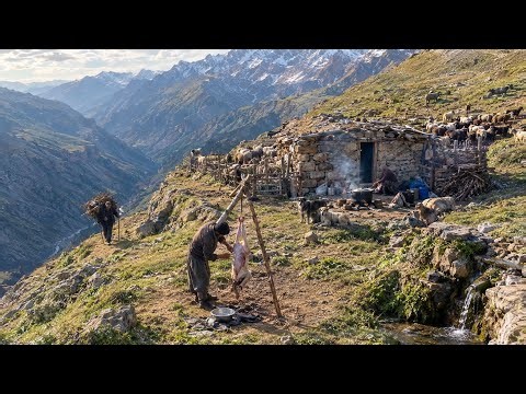 Far From Civilization... How Do Iranian Shepherds Live High in the Mountains?