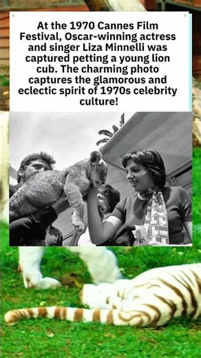 Liza Minnelli Pets a Lion Cub at Cannes (1970) 🦁 #LizaMinnelli #Shorts #1970s