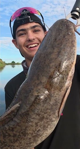 Incredible fishing in the okavango delta edit