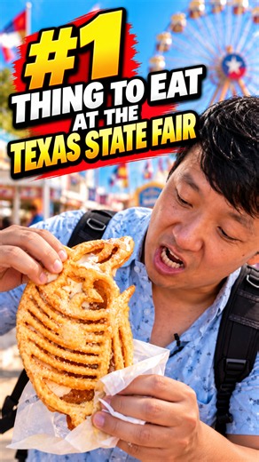 The deep fried armadillo ice cream sandwich 🦔🍦 at Texas State Fair