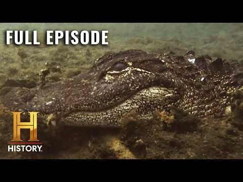 Deadly Chill (S4, E7) | Swamp People | Full Episode