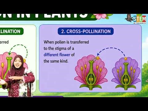 Science 6 Class | Chapter 2 | Reproduction in Plants | Sexual Reproduction in Plants
