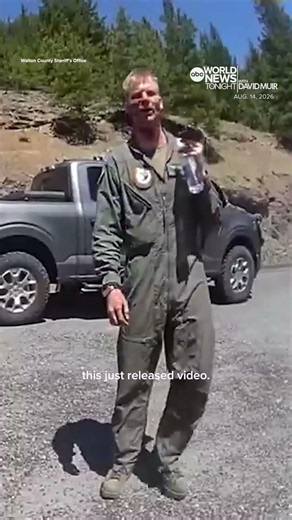 Military pilot seen walking away from fighter jet crash in new images