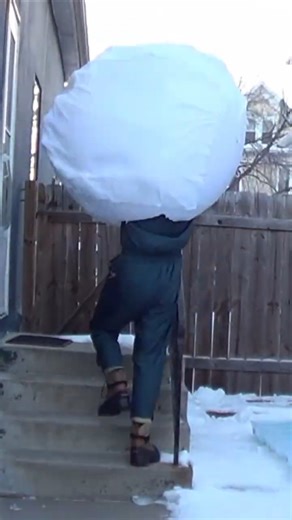 Minnesota, it's so cold that... Human Snowball #minnesota #cold #minnesotacold