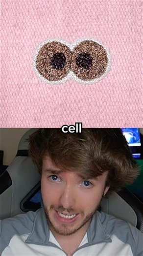 scientists put real cells into minecraft 🧫👨‍🔬