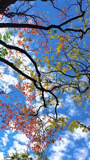 Test your trivia knowledge now! 💡 What’s your answer? Comment below and let’s see who knows it best! 🤓 #TriviaChallenge #QuizTime #TestYourKnowledge #AnswerInComments #BrainTeasers #QuizMasters #TriviaAddicts #KnowledgeCheck #QuizLovers #CommentYourAnswer #FunQuizzes #ChallengeAccepted | Trend kidds