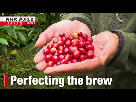 How Taiwan is becoming a specialty coffee playerーNHK WORLD-JAPAN NEWS