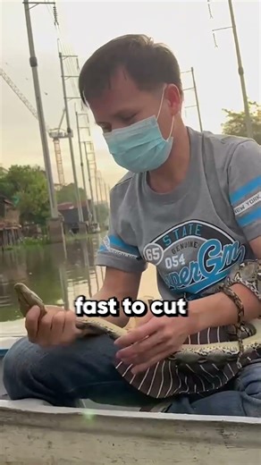 This massive python was trapped in a deadly net 🐍