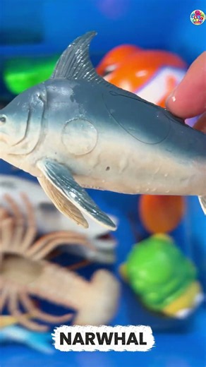 EXPLORE OCEAN ANIMALS FACTS WITH COOL TOYS: DOLPHIN NARWHAL HAMMERHEADSHARK & LOBSTER