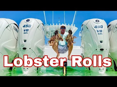 LOBSTER ROLLS!!! Florida Spiny Lobster Catch/Clean/Cook