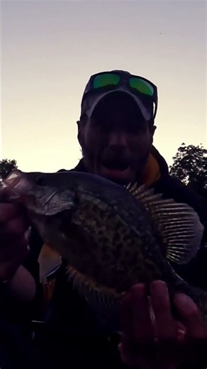 Boom Baby!! #crappiefishing #fishing #shorts #boombaby #shortvideo