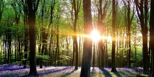 15 beautiful countryside walks from London by train that end at a great pub