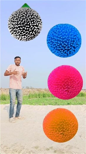 Rounding pink amber blue kadambas to Duck, Peacock, Pigeon & Parrot - Birds names magic video