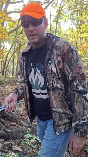 Harvesting a Hen of the Woods (Maitake) Mushroom in Fall