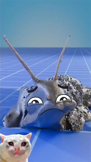What Happens If You Pour Salt on a Slug? #Shorts #Science #Curiosity #Facts #Biology #Slug #Nature