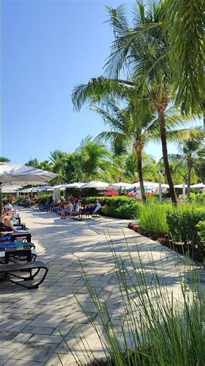 Have fun! Stay hydrated and enjoy paradise here in Belize. 🇧🇿