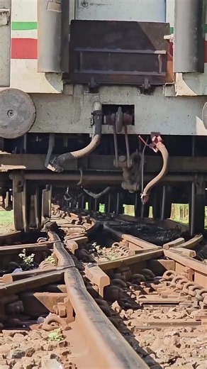 Train wheels changing line through a turnout crossover frog. #railway #trains #railroad #fyp #viral
