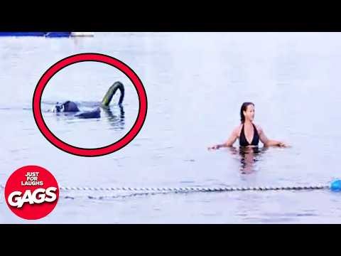 Loch Ness Monster Attack | Just For Laughs Gags