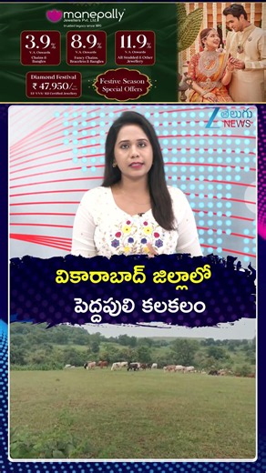 High Tension In Vikarabad | Tiger Spotted In Vikarabad | వికారాబాద్ జిల్లాలో పెద్దపులి కలకలం