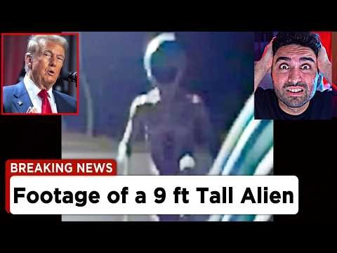 ALIEN Video Freaking Everyone RIGHT NOW❗😲 - Aliens, UFO, Why Files, Joe Rogan, Skinwalker, TikToks