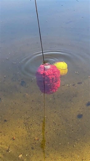 Underwater Rig Test: PVA Explosion & Spinning High-Viz Snowman Bait Balance! 💥🎠🚥