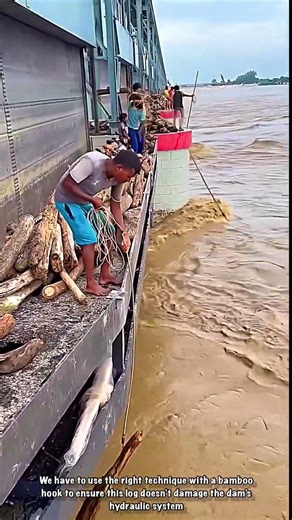 Waste Management: Wood Extraction Technique at Koshi Dam