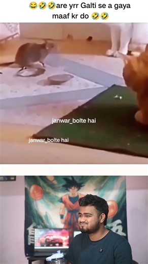 Dushman Ke Ghar Fokat Ka Tour! 😂 Funny Animal Fails #funny #comedy #viral #shortsfeed #foryou