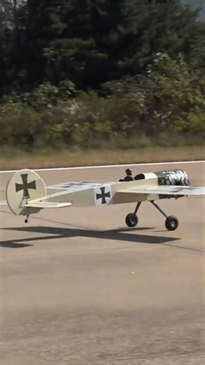 RC Plane Crashes into Tree and Disintegrates/RC Airplane OMG Moments #rcairplane #rcplane #rcplanes